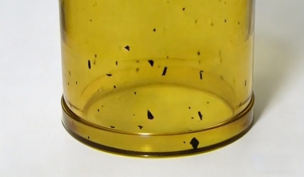 Troubleshooting Black Spots & Discoloration in Injection Molding?