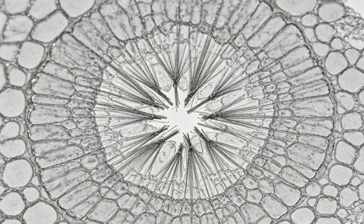 Microscopic view of fiber-matrix interface and fiber pull-out in long glass fiber reinforced PP.